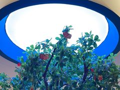 -悦海·家宴·冰花皮皮虾大锅贴(宝龙店)