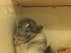 -龙猫仔乐园(惠福东路店)