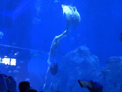 -石家庄极地海洋世界