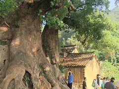-杨家堂村