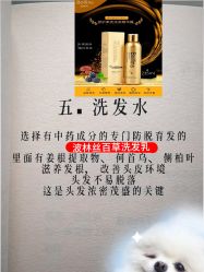 -Bollins波林丝•专研护发中心