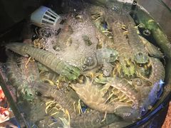 -陶陶居海鲜酒家(新马路店)