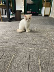 -邵老师打金·黄金加工(大望路总店)