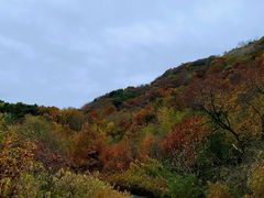 -北京西山国家森林公园