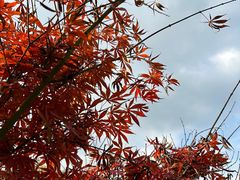 -天目湖涵田度假村