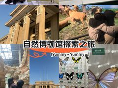 -国家自然博物馆