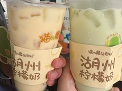 -猫的魔法密林(衣裳街店)