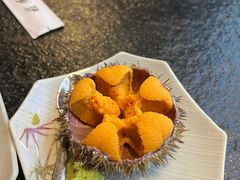 -桂马·日本料理·海胆·海鲜饭·酒场(民主广场店)