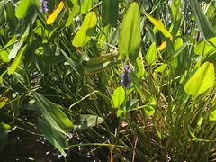 -洛阳市隋唐城遗址植物园