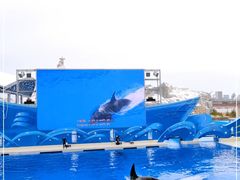 -上海海昌海洋公园