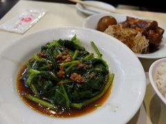 -阿水狮猪脚大王(台中公园店)