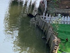 -孔子六艺文化园