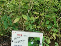 -广州神农草堂中医药博物馆