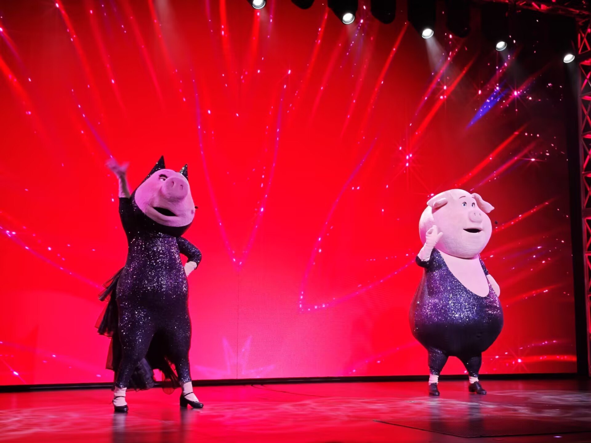 欢乐好声音影评英文