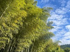 -苏州环秀晓筑养生度假村