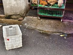 -水街农贸市场