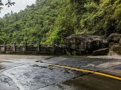 -南海湾森林生态园