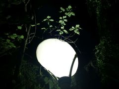 -西安交通大学(雁塔校区)