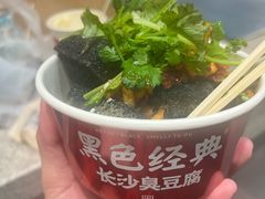 -黑色经典臭豆腐·湖南特产(步行街店)