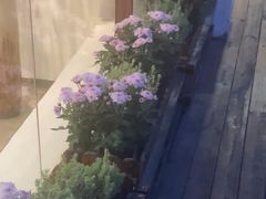-小茶闲舍·观景商务茶馆(广州塔店)
