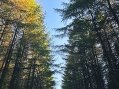 -光雾山旅游景区