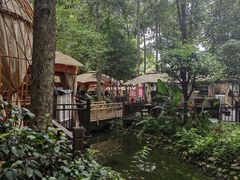 -二荆条·蜀鲜汇城市森林火锅