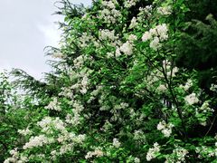 -白塘生态植物园