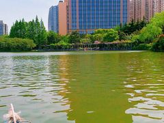 -黄兴公园