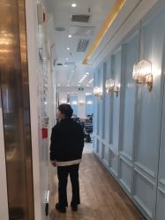 -YESIDO椰岛造型