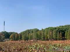 -凤凰沟景区