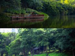 -深圳国际园林花卉博览园