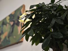-留白咖啡(人民巷八号大院店)