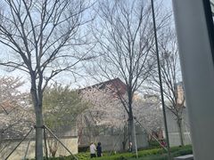 -自然博物馆(地铁站)