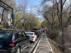 -帽儿山国家森林公园