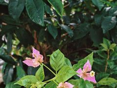 -Beans Solo豆号咖啡(百家湖花园店)
