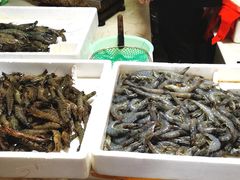 -七宝蔬菜农副产品综合交易市场-停车场