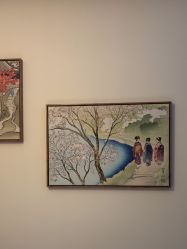 -POCO宝珂丽科技美肤