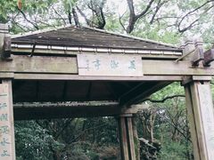 -吴淞炮台湾湿地森林公园烧烤区