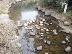 -白马涧龙池景区