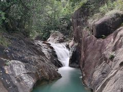 -广州白江湖森林公园