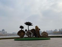 -莲花池公园