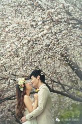 -施华洛婚纱摄影会所(范阳中路店)