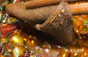 Bold Tripe