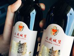 -文成城堡