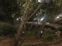 -九龙公园