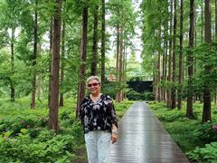 -黄海国家森林公园