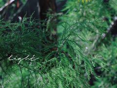 -东涌水乡风情街