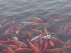 -春晖园度假酒店温泉