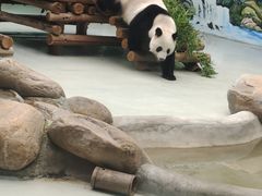 -柳州市动物园