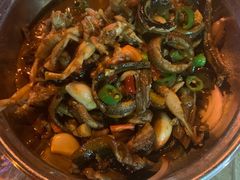 -龙小海荆沙鸽子店(瑞安街店)